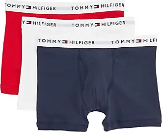 Tommy Hilfiger Men's Underwear Everyday Micro 3-Pack Trunks – Underwear  Wanted