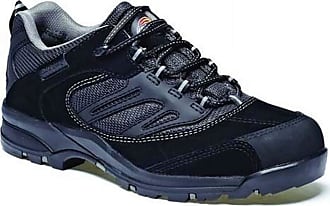 dickies hiking boots