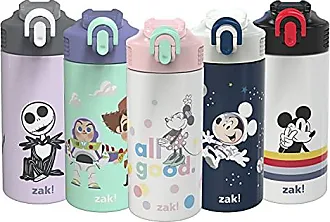 Zak Designs 16oz Riverside Beach Life Kids Water Bottle with Straw and  Built in Carrying Loop Made of Durable Plastic Leak-Proof Design for Travel  2 count (Pack of 1) Multicolor