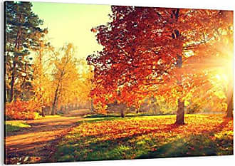 120x40cm Wandbild Panorama Herbst Baum im Park Sonnenaufgang Sinus Art Leinwand