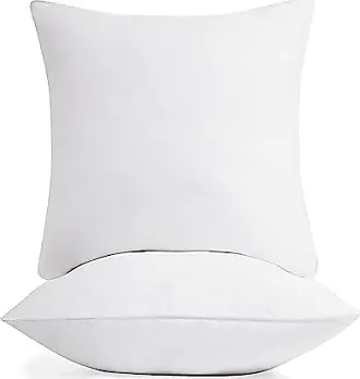  Deconovo 22x22 Pillow Insert, 2 Pack White Couch