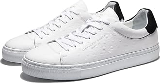 alexander laude trainers