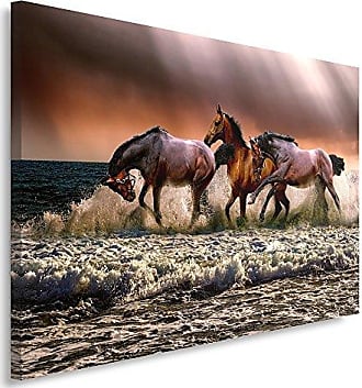Leinwand-Bilder Wandbild Canvas Kunstdruck Pferde Tiere
