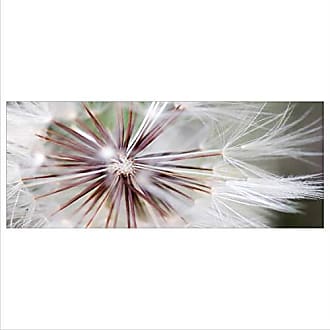 Acrylglas-Bild Wandbilder Druck 125x50 Deko Blumen & Pflanzen Pusteblume 