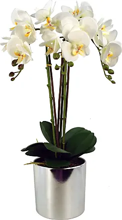 Kunstpflanzen in Weiß: 100+ Produkte | Sale: Stylight 4,99 ab - €