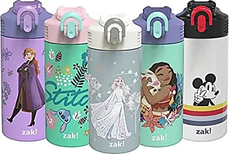 Zak 15.5oz Stainless Steel Water Bottle - Frozen