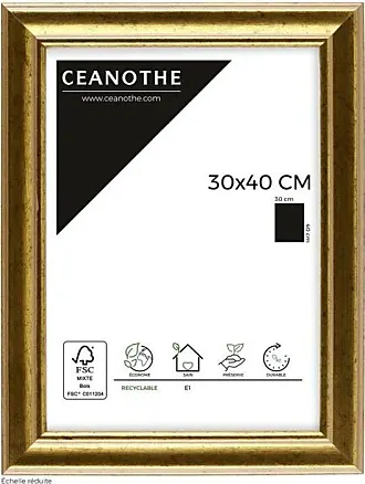 Ceanothe Cadre Photo Acier 50x70 cm et 70x50 cm - Convient au A2 – Fabriqué  en France - Cadre