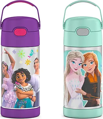  THERMOS FUNTAINER 12 Ounce Stainless Steel Vacuum Insulated  Kids Straw Bottle, Minecraft: Home & Kitchen