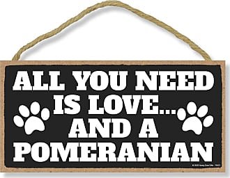 Honey Dew Gifts A Spoiled Schnoodle Lives Here Hanging Wall Decorative Sign 5 Inches by 10 Inches Funny Wooden Home Decor for Dog Pet Lovers