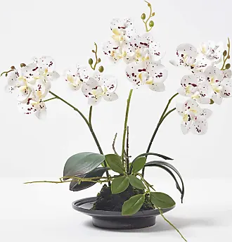 Kunstpflanzen in Weiß: 100+ Produkte - Sale: ab 4,99 € | Stylight