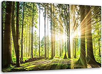 Tulup Leinwand-Bilder Wandbild Leinwandbild 140x70 Wald Natur