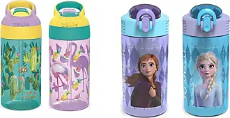Zak Designs Disney Frozen 2 Kids Water Bottle Set with Reusable Straws and  Built in Carrying Loops Made of Plastic Leak-Proof Water Bottle Designs  (Elsa & Anna 16 oz BPA-Free 2pc Set)