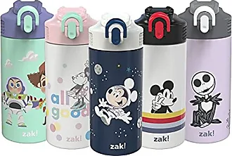 Zak Designs 16oz Riverside Beach Life Kids Water Bottle with Straw and  Built in Carrying Loop Made of Durable Plastic, Leak-Proof Design for  Travel, 2
