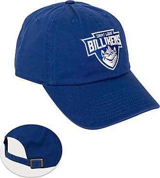  Desert Cactus Saint Louis University Flag Billikens