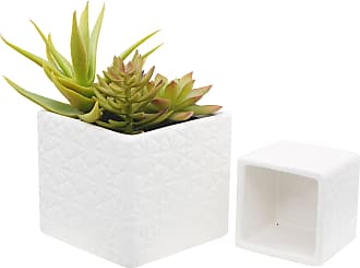 Cabilock 1 Set Desktop Planter Pots Vase Flower Geometric Container for Succulent Air Mini Cactus Faux Plants Black 
