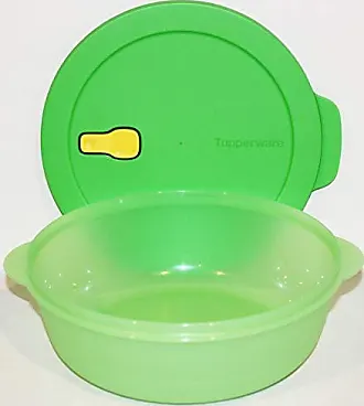 Tupperware 1L Freezermate Storage container 2 Piece GREEN Plastic Utility  Container (Pack of 2, Green)