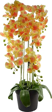 Kunstpflanzen (Esszimmer) in Gelb: 41 Produkte - Sale: ab 2,99 €