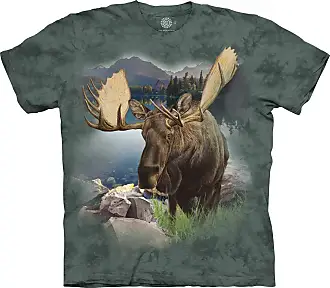 Outdoor Sunset Mountains Color Fade Graphic T-Shirt : Clothing,  Shoes & Jewelry