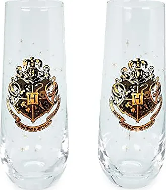 Silver Buffalo Harry Potter Mischief Managed Plastic Cold Cup  with Lid and Straw, 16 Ounces: Tumblers & Water Glasses