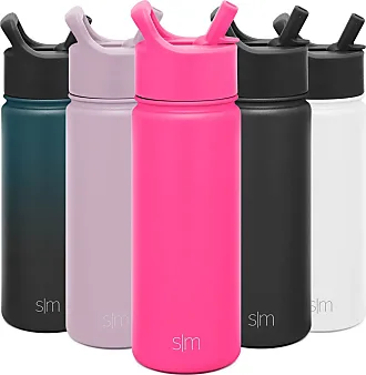 Simple Modern Kids Water Bottle with Straw Lid | Insulated Stainless Steel Reusable Tumbler for Toddlers, Girls | Summit | 18oz, Pink Ballerina