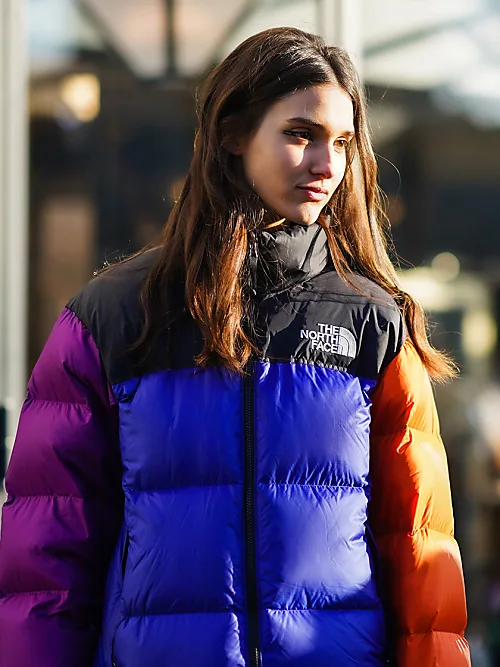 Every 'It' girl is wearing this North Face coat this winter