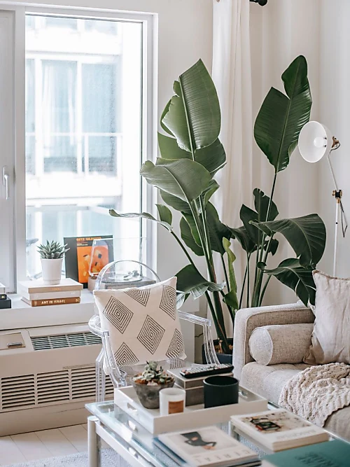 Tips And Tricks For Decorating Your Apartment Like An Stylight
