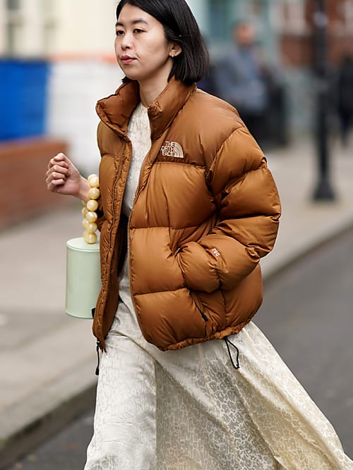 Every 'It' girl is wearing this North Face coat this winter | Stylight