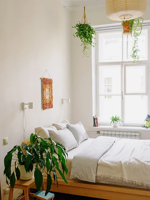 Tips and tricks for decorating your apartment like an adult | Stylight
