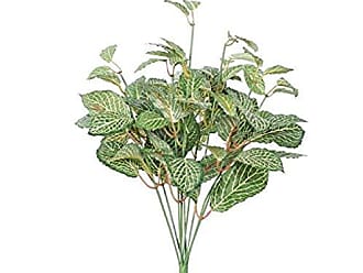 Vickerman TA181501 Green Lily Everyday Bush