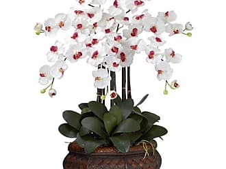 Set of 2 2 Piece Nearly Natural 1445-S2-PP Cattleya Orchid /& Succulent Arrangement