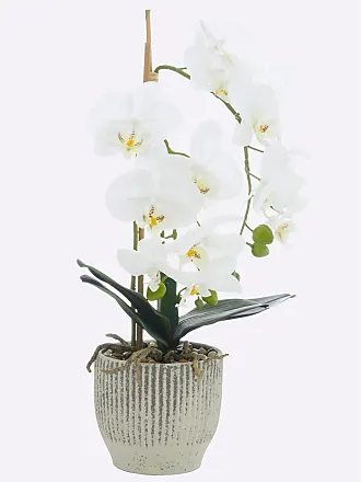 Sale: Weiß: in Kunstpflanzen | ab € 4,99 Stylight Produkte 100+ -