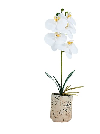 MyGift Mini White Faux Silk Phalaenopsis Orchid Flower in Square Glass Vase 
