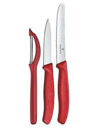 Pinti Inox Couteau à saumon professionnel Lame 26 cm 18/10 : :  Cuisine et Maison