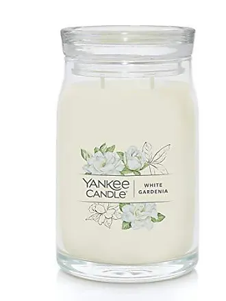 Bath & Body Works, White Barn 3-Wick Candle w/Essential Oils - 14.5 oz -  New Core Scents! (Tiki Beach)