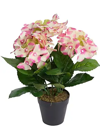 Kunstpflanzen in Pink: Stylight | € Sale: 53 6,25 - ab Produkte