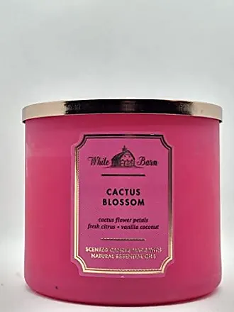 Bath & Body Works, White Barn 3-Wick Candle w/Essential Oils - 14.5 oz -  New Core Scents! (Champagne Toast)
