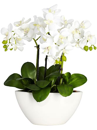 LIUCOGXI Artificial Potted Orchid Plant Arrangement with Vase White for Home Kitchen Table Centerpiece Living Room Bathroom Office Indoor Decoration