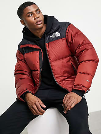 Arkitektur Plateau oplukker Men's The North Face Jackets − Shop now up to −52% | Stylight
