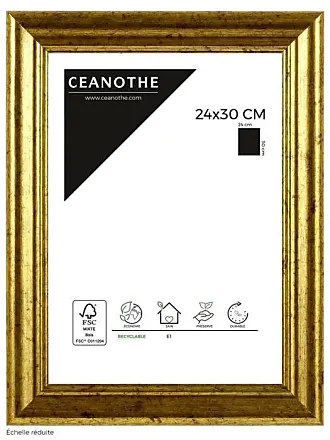 Ceanothe Cadre Photo Noir et Doré 50x70 cm - Cadre pour Photo 50x70 cm et  70x50 cm