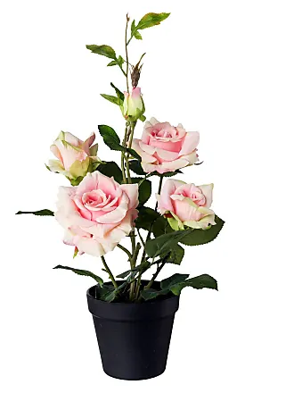 Kunstpflanzen in Rosa − | ab € Jetzt: Stylight 3,72