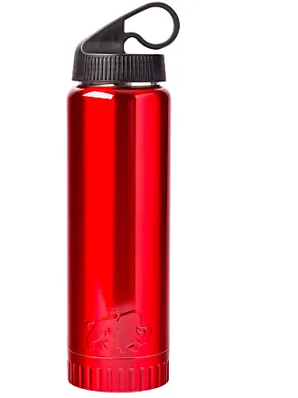 Silver Buffalo Lilo and Stitch Double Walled Stainless Steel Water Bottle,  25 Ounces