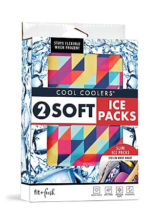 Fit & Fresh Chill Out! 2 Cup Smart Portion Container with Removable Ice  Pack, Plastic Bags