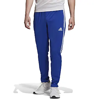 Blue adidas Sport Pants for Men