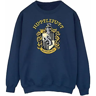 Harry Potter Serdaigle - Quidditch Pull tricoté bleu/gris Bleu