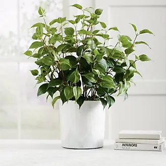 MyGift Artificial Maidenhair Fern Plant, Summer Home Decor Faux Potted Green Fern in Vintage Gray Wood Square Planter Pot