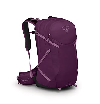 SKYBAGS CREW 06 SCHOOL BAG (E) PURPLE 33 L Laptop Backpack Purple