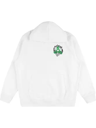 Palace 2025 fuji hoodie