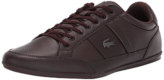 mens lacoste trainers