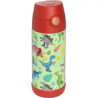 Snug Flask for Kids - Vacuum Insulated Water Bottle with Straw (Princess,  17oz)