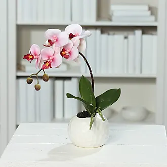 Kunstpflanzen in Weiß: 100+ Produkte - Sale: ab 4,99 € | Stylight